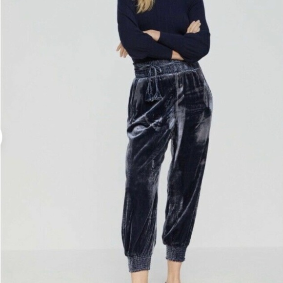 Anthropologie Velvet Joggers Navy EUC Size S - Picture 2 of 6